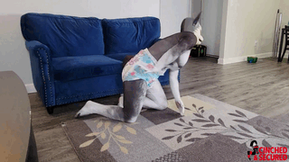 www.cinchedandsecured.com - 1560 - MinxGrrl - Naughty Pup Gets Diapered, Gagged and Straitjacketed!  thumbnail